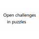 Open Challenge